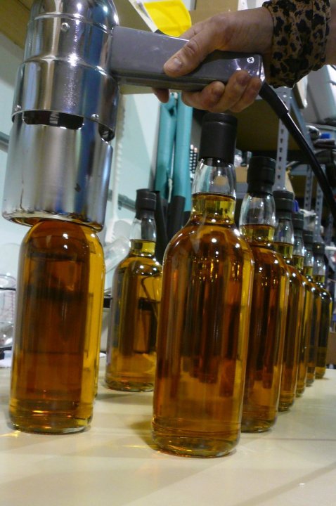 Bottling Day